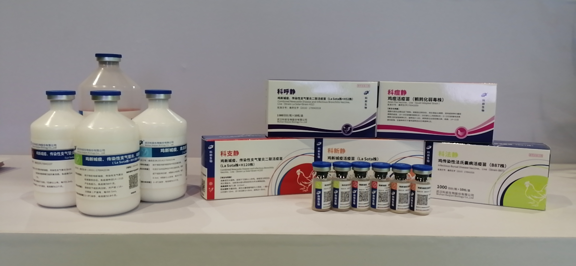 图片4.png 图片4.png