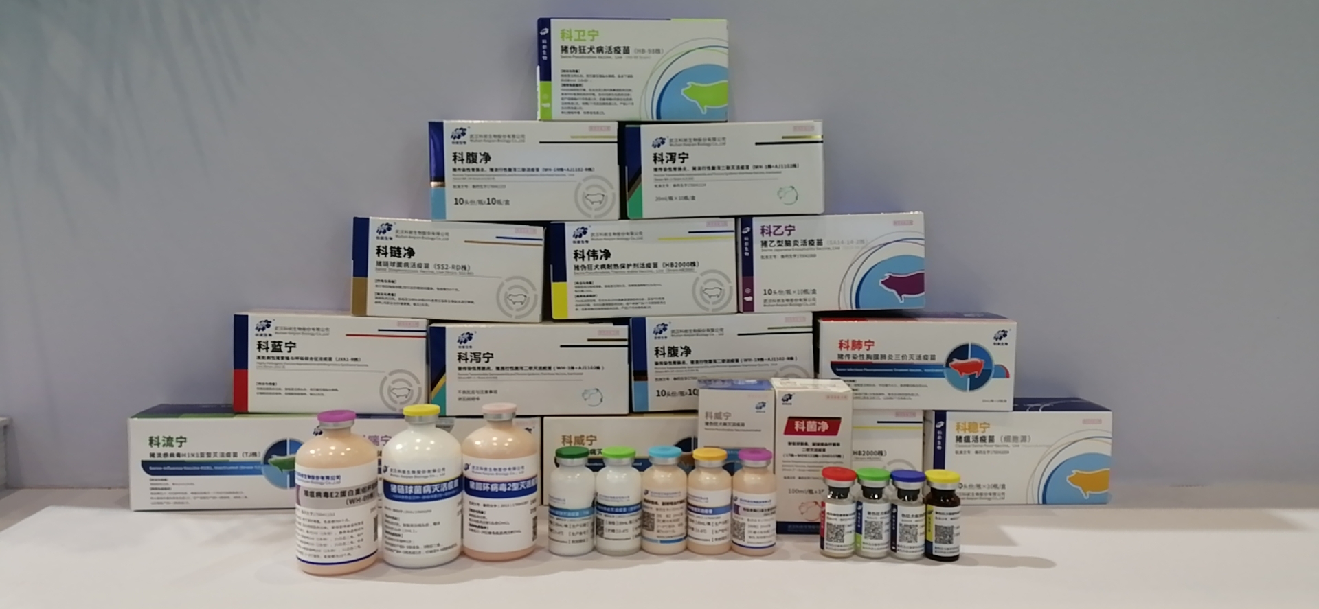 图片3.png 图片3.png